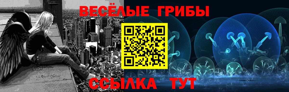 Галлюциногенные грибы Psilocybine cubensis  Куйбышев  Псилоцибиновые грибы ЛСД 