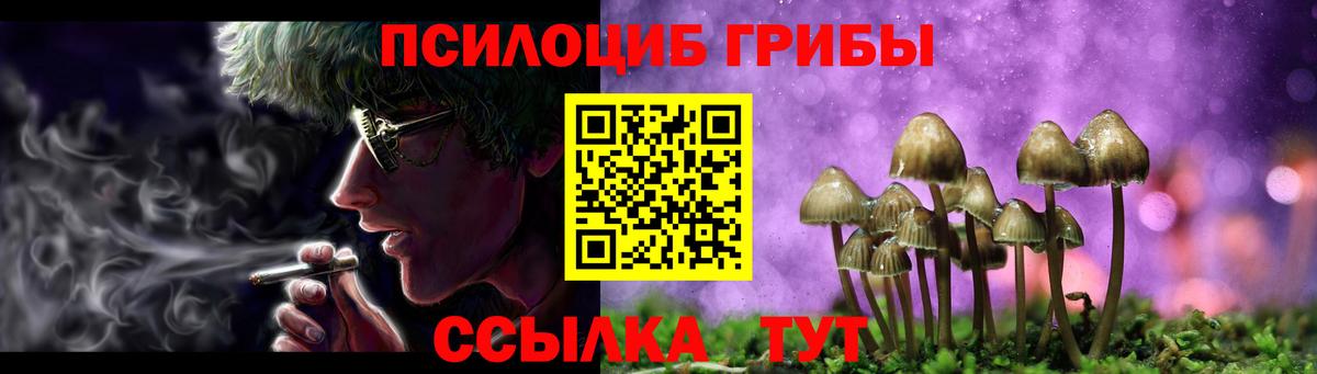 Куйбышев  Псилоцибиновые грибы мухоморы  Галлюциногенные грибы MAGIC MUSHROOMS  Вход с VPN 