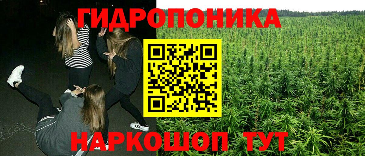 МАРИХУАНА Bruce Banner  Бошки марихуана конопля  Конопля гибрид  Канабис гибрид  Вход с VPN  Куйбышев 